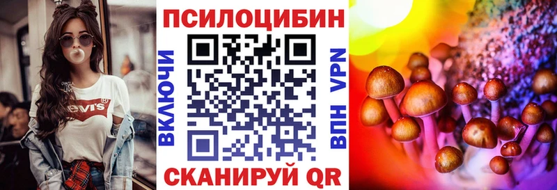 Псилоцибиновые грибы Cubensis Краснослободск