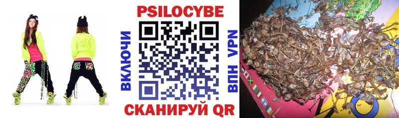 Галлюциногенные грибы Magic Shrooms  цены   Краснослободск 